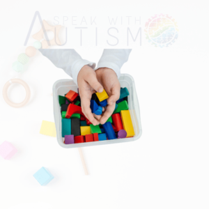 autism toys