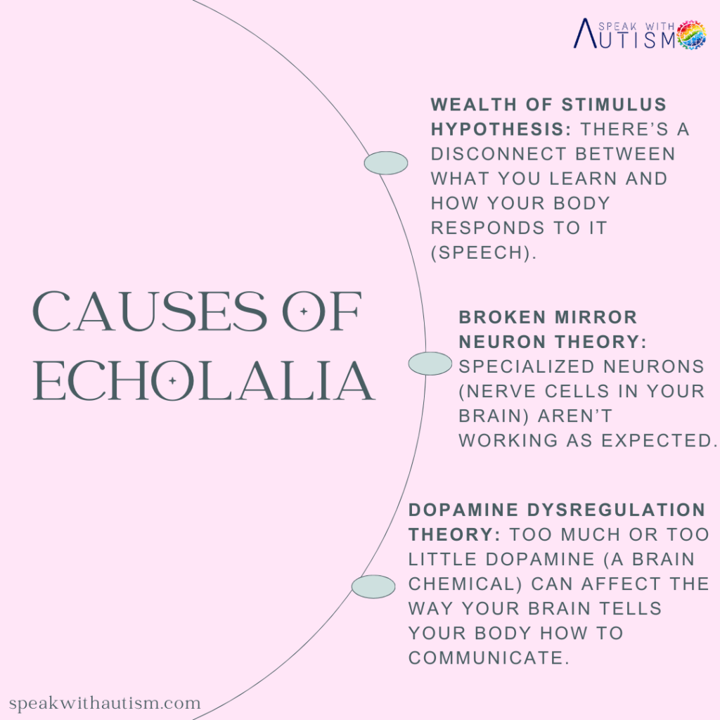 CAUSES OF ECHOLALIA