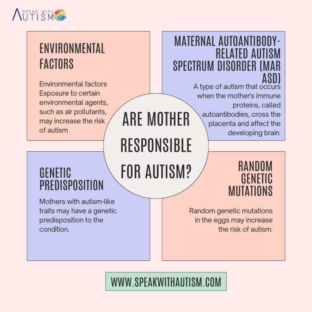 mother responsible for autism?