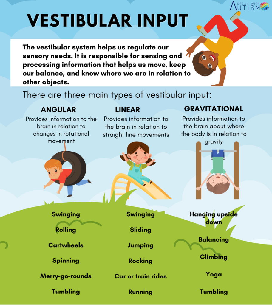 types of vestibular system