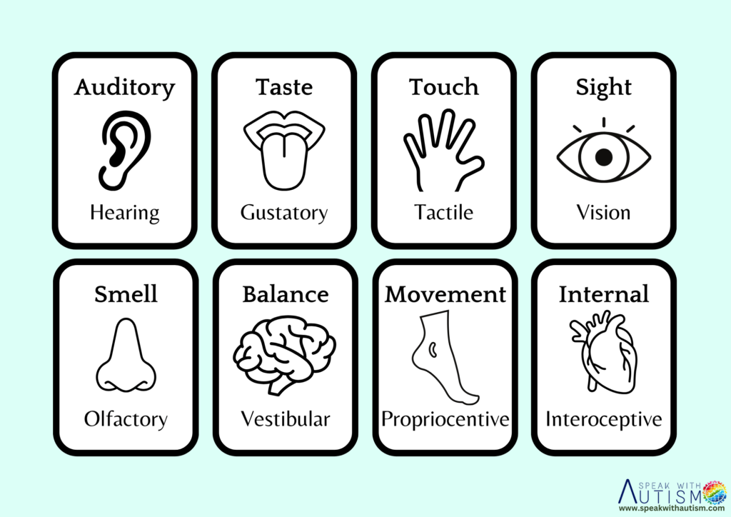 sensory system