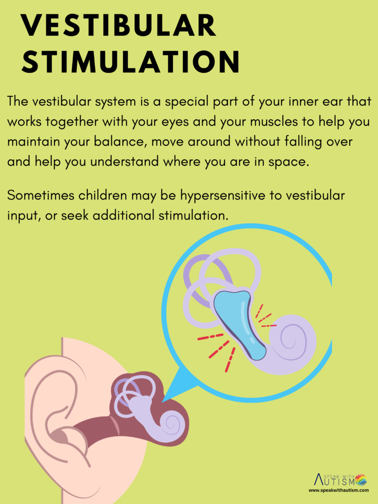vestibular system location