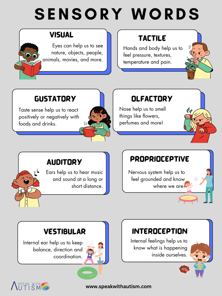 sensory words