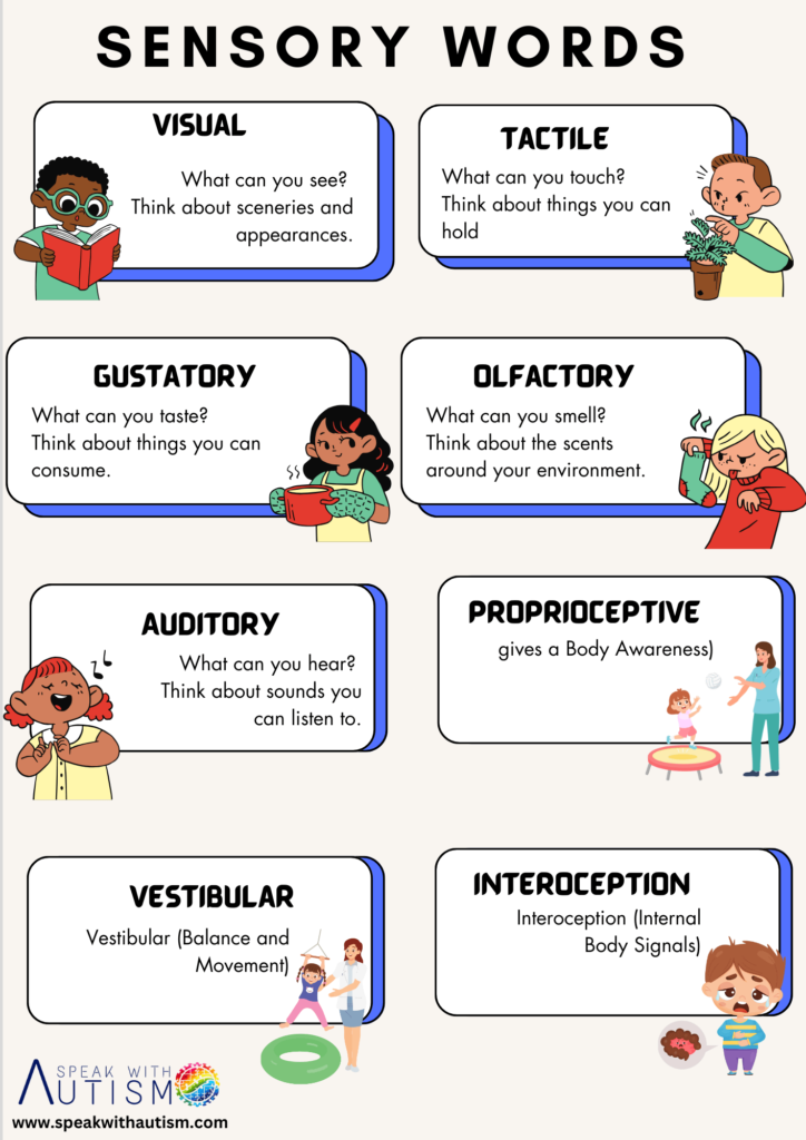 sensory words