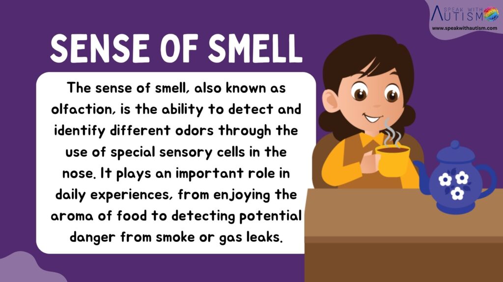 Olfactory sense