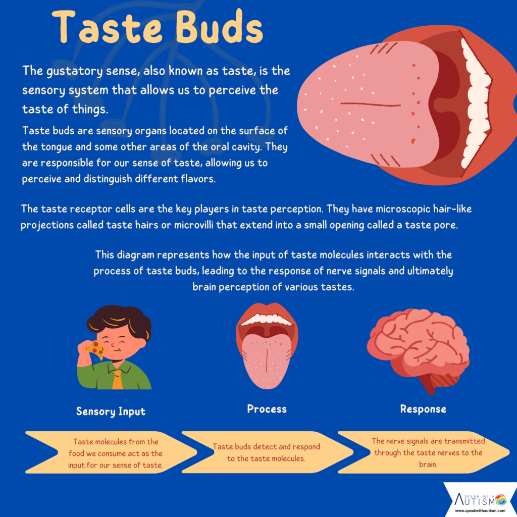 gustatory senses