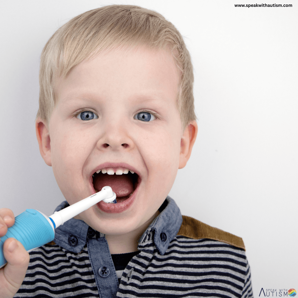 Electric Toothbrush